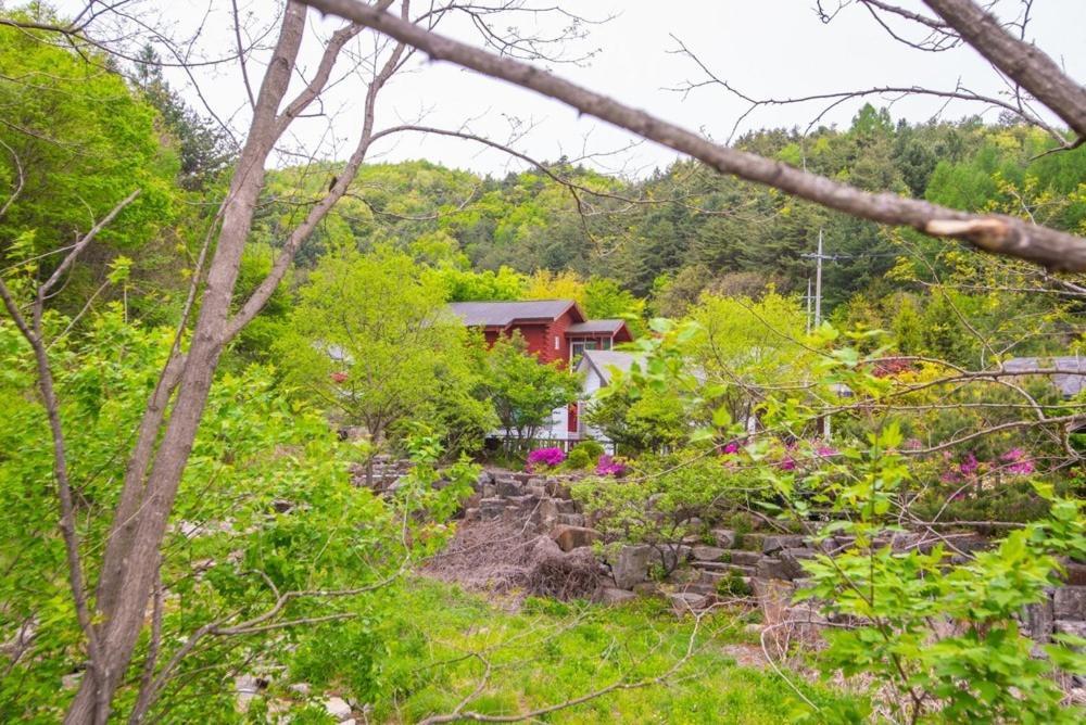 Pyeongchang Zermatt Pension Family, Couple Экстерьер фото