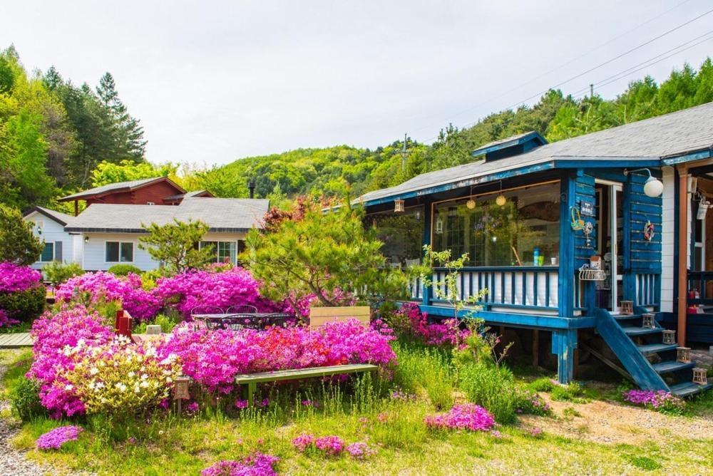 Pyeongchang Zermatt Pension Family, Couple Экстерьер фото